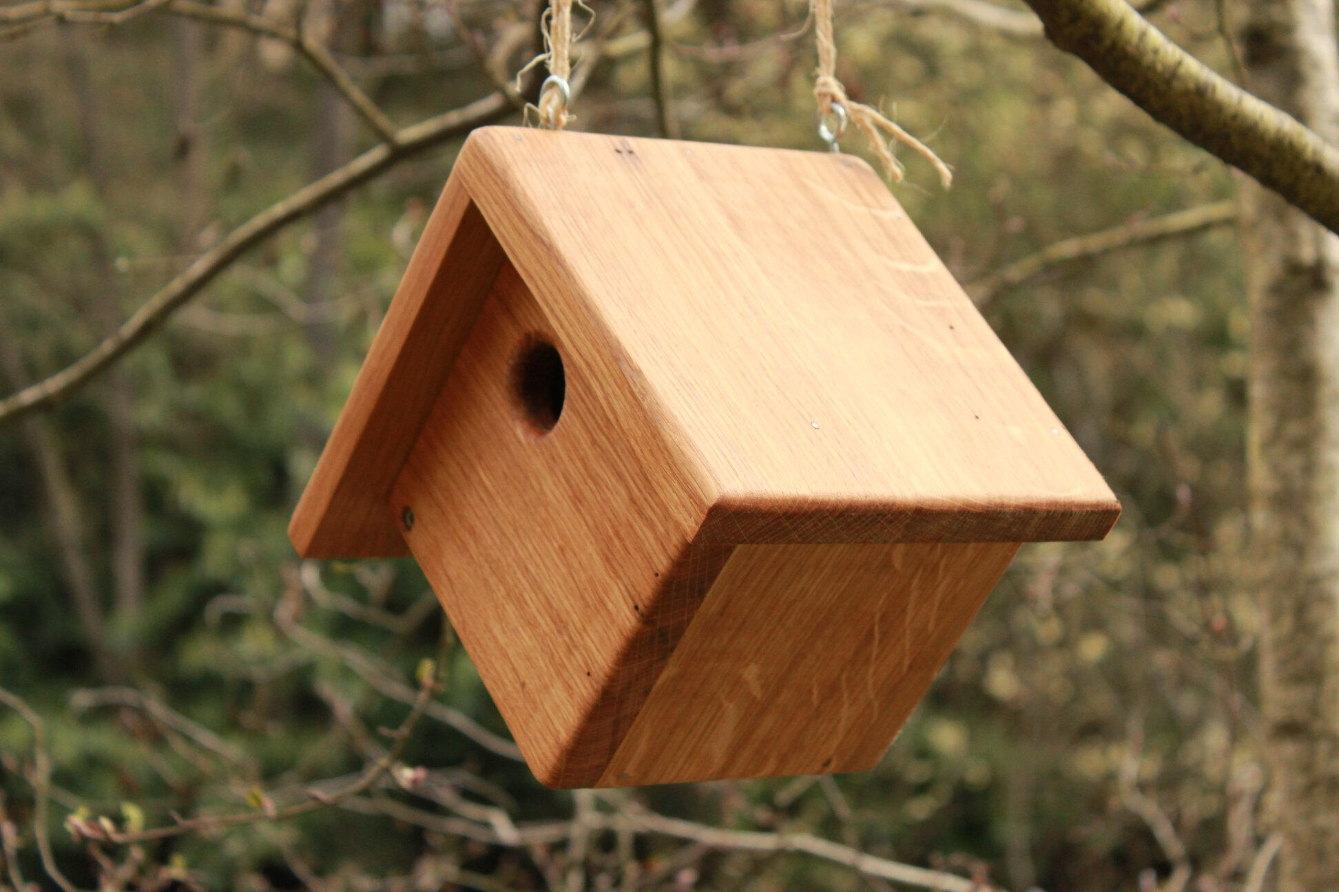 Nichoir mésange, chêne